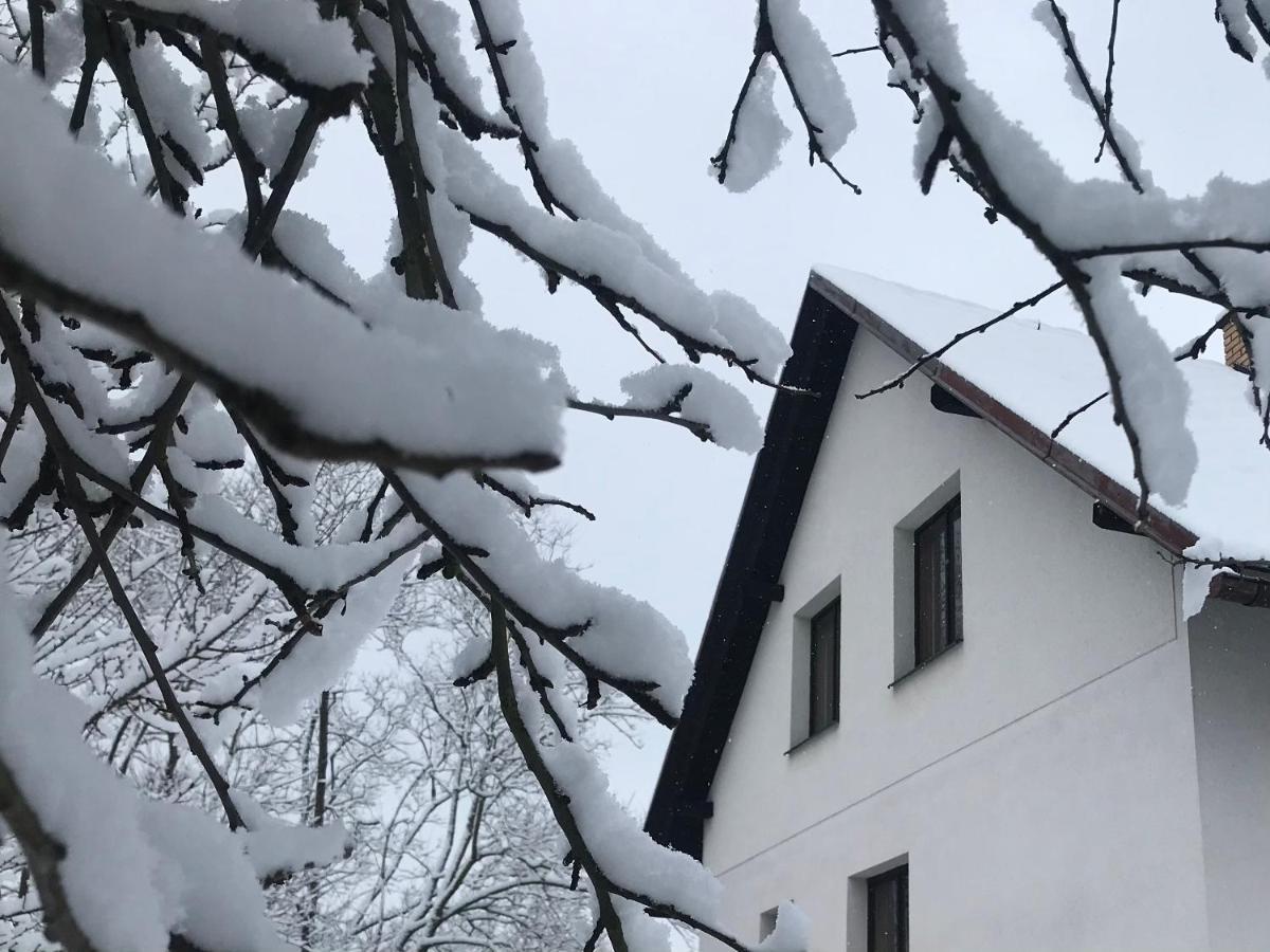 Apartman Ivko Letohrad Buitenkant foto