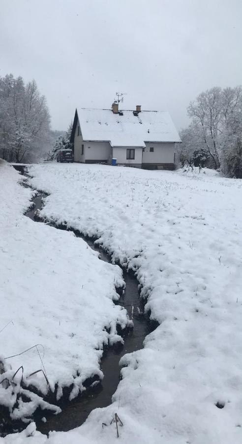 Apartman Ivko Letohrad Buitenkant foto