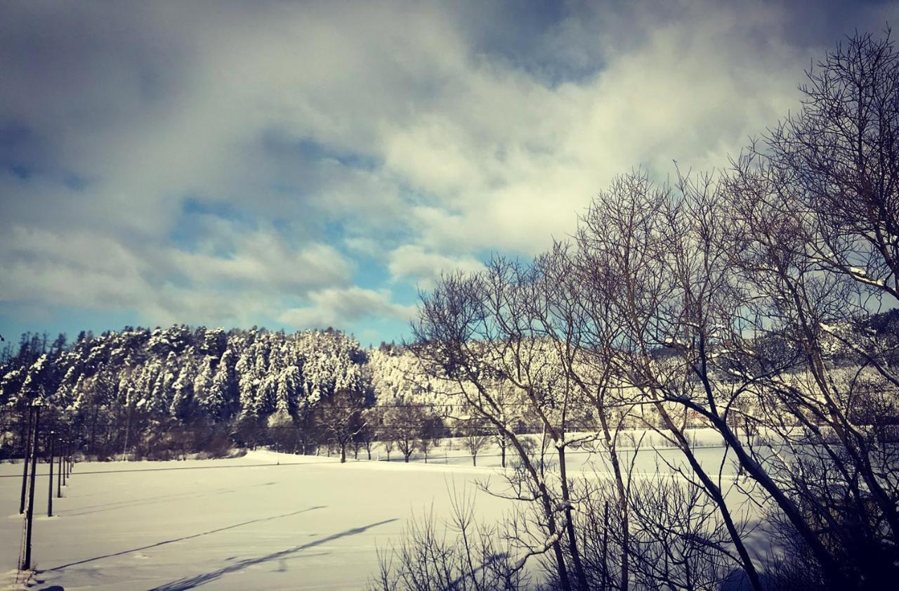 Apartman Ivko Letohrad Buitenkant foto
