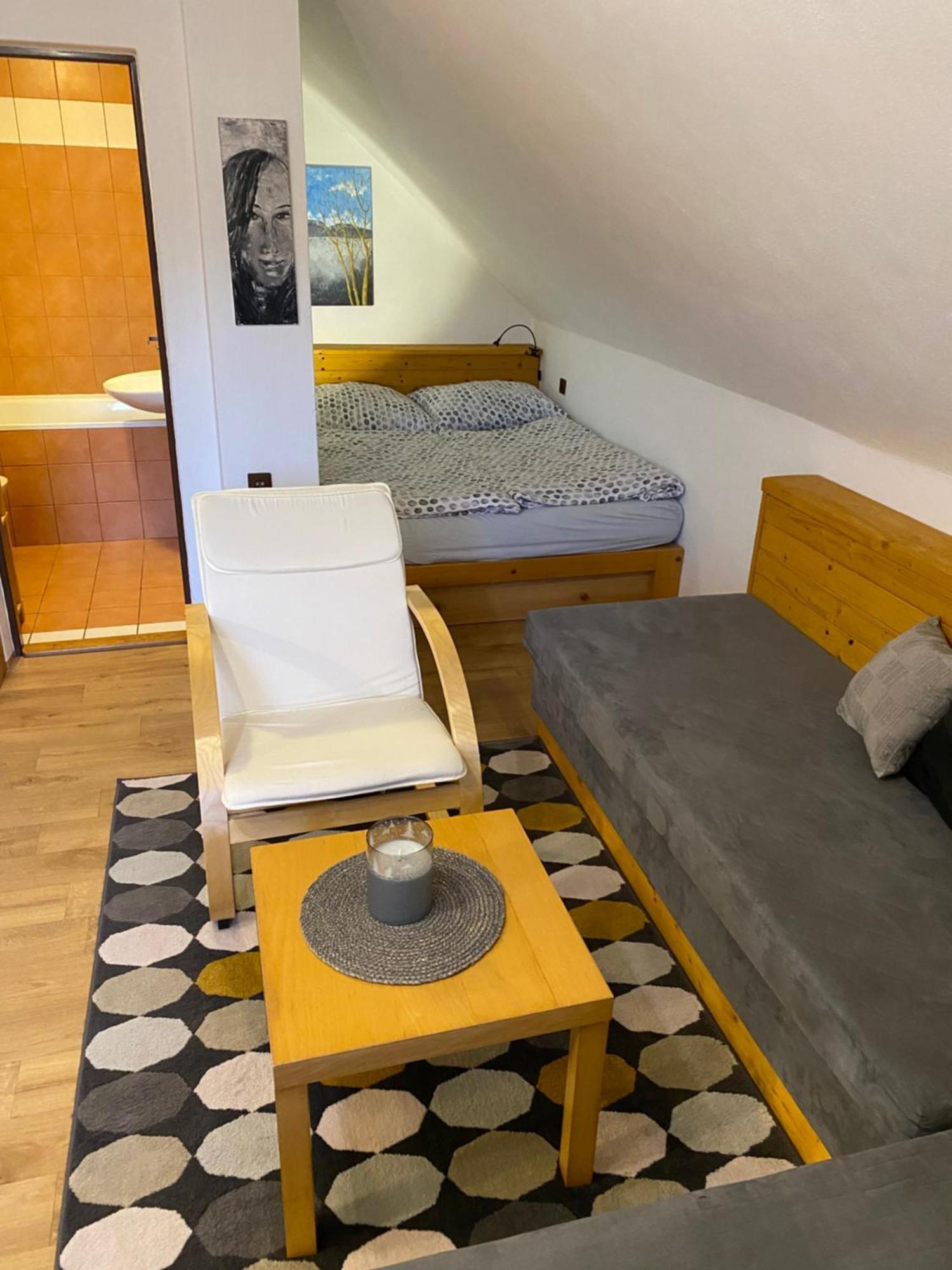 Apartman Ivko Letohrad Buitenkant foto